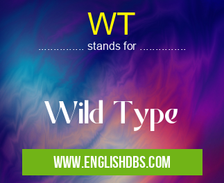 WT