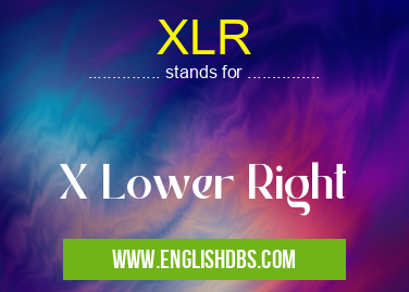 XLR