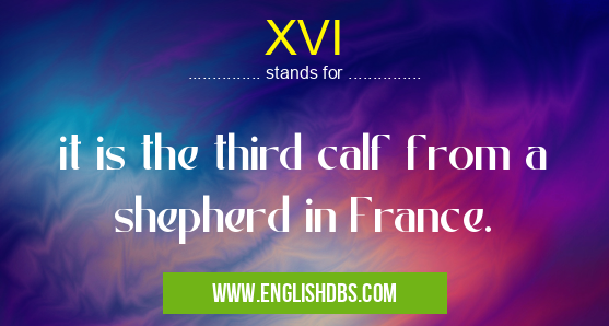 XVI