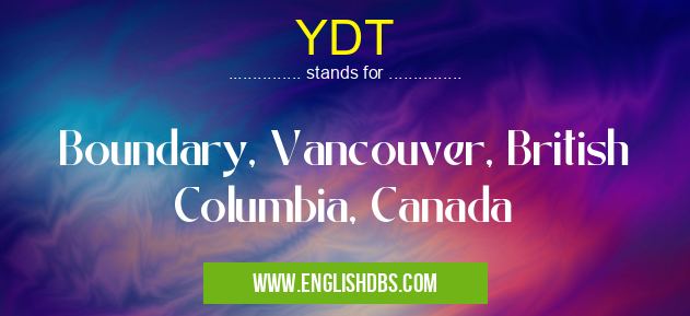 YDT