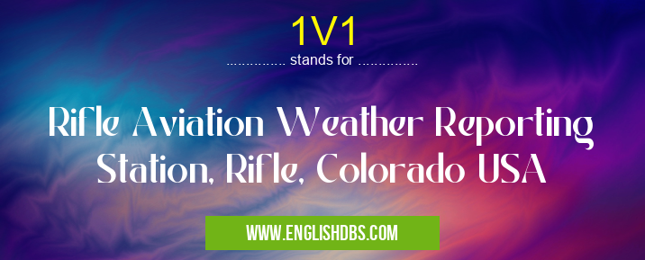1V1