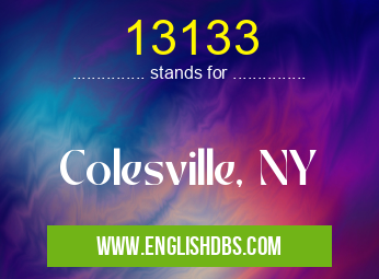 13133