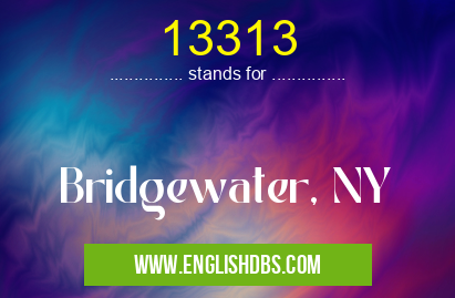 13313