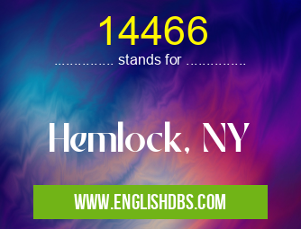 14466