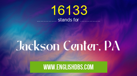 16133