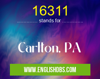 16311