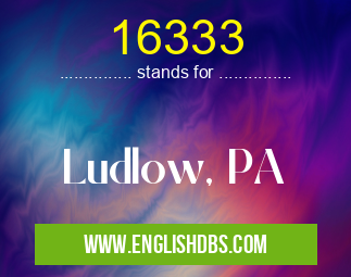 16333