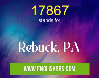 17867