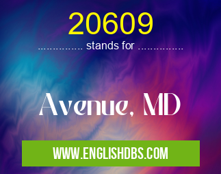 20609