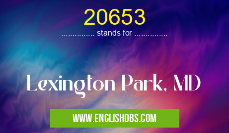 20653