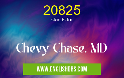 20825