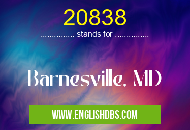20838