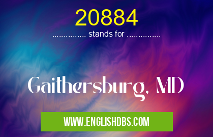 20884