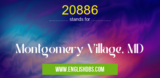 20886