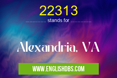 22313