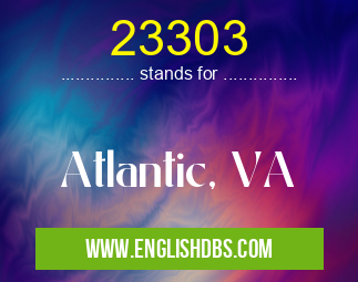 23303
