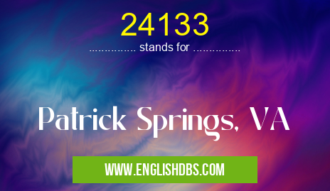 24133