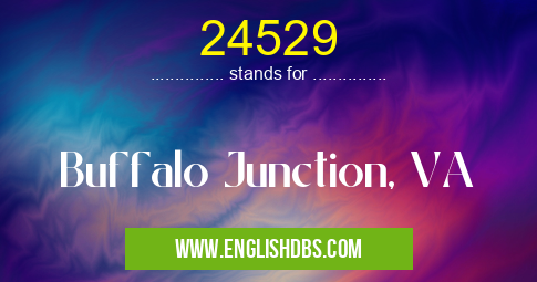 24529