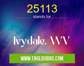 25113