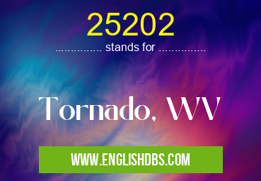 25202