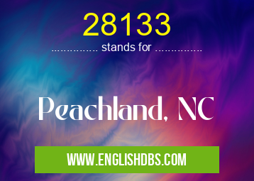 28133