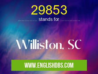 29853