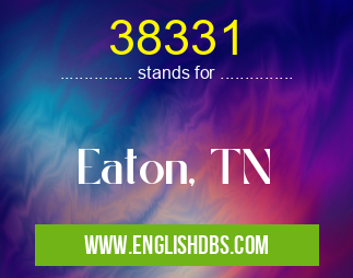 38331