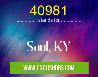 40981