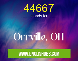 44667