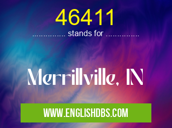 46411