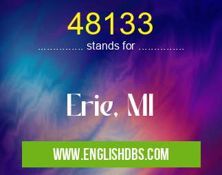 48133