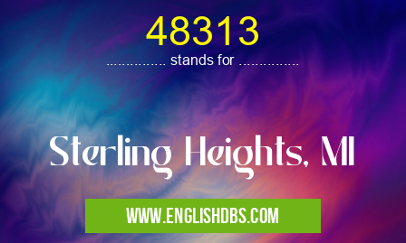 48313