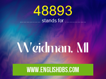 48893