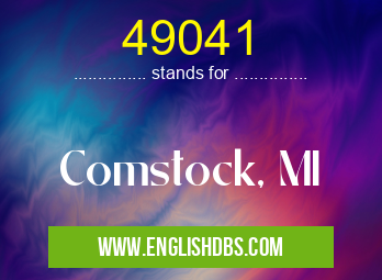 49041