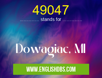 49047