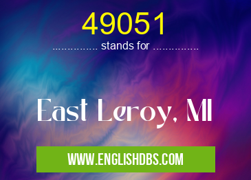 49051