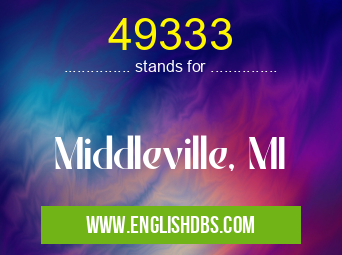 49333