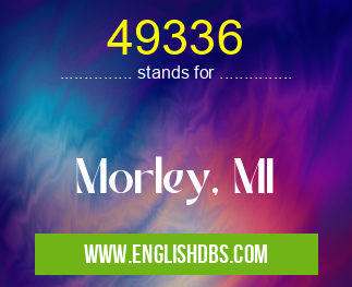 49336