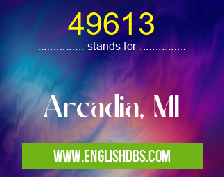 49613