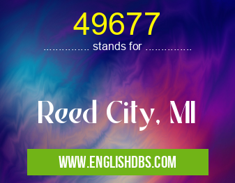 49677