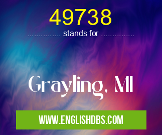 49738