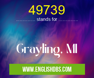 49739