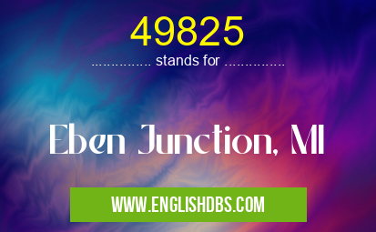 49825