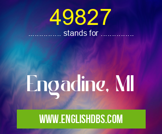 49827