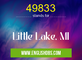 49833