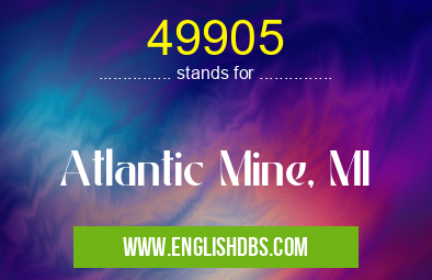 49905