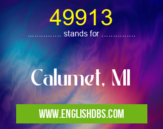 49913