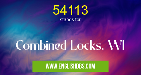 54113