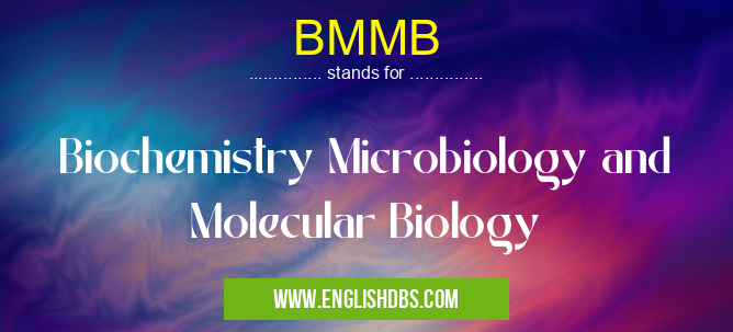 BMMB