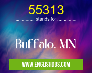 55313